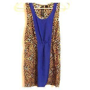 Cheetah / Blue dress